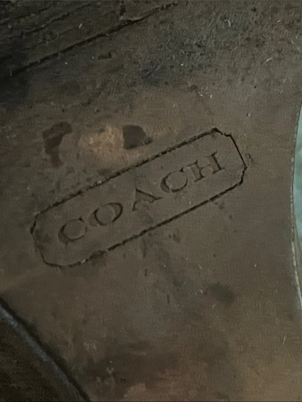 Coach White Snake-Embossed Leather T-Strap Sandals with Gold Hardware